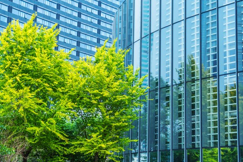 Large glass office buildings with leafy green tree outside